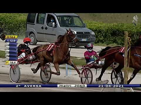 Aversa trotto 21 Aprile 2021 - 2° Corsa