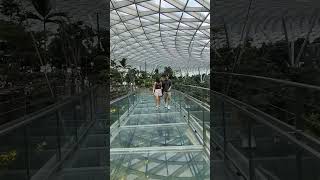 Quick visit at jewel  canopy Bridge at Jewel changi airport Singapore. #calmdown