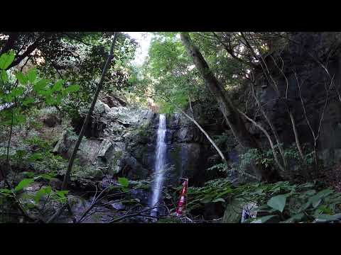 鮎屋の滝 兵庫県洲本市鮎屋 兵庫の滝 Field Recording 兵庫の滝