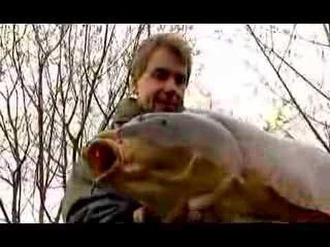 kevin nash in pursuit