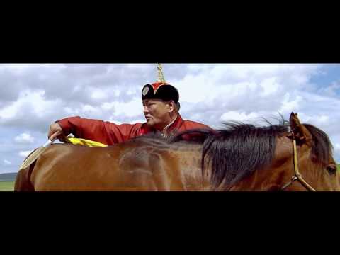 Torgon hul Turmandah Торгон Хул Төрмандах