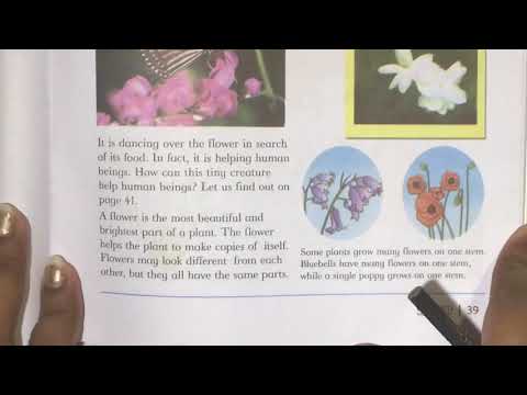 Oxford science level 4 unit 7 pollination and fertilization