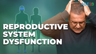 Reproductive System Dysfunction: Male and Female? | Causes, Symptoms and Treatment Options