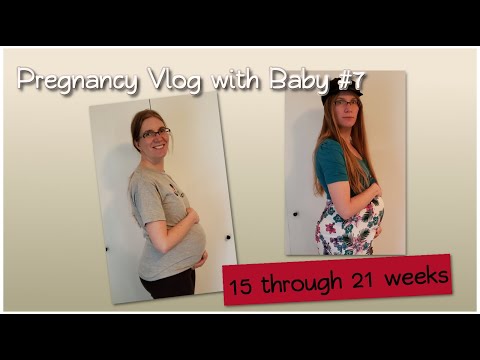 Pregnancy Vlog 15-21 Weeks