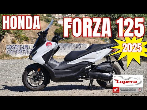 Honda Forza 125 (2025) | Probefahrt, Walkaround und Soundcheck | VLOG 566