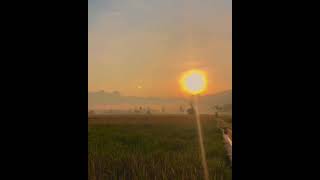 Download lagu pemandangan sore hari di desa mp3 Download lagu pemandangan sore hari di desa mp3