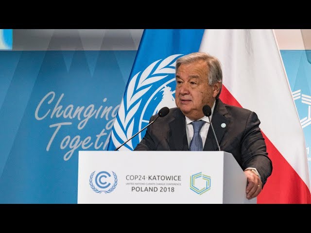 UN chief urges climate action