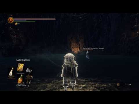 Dark Souls 3 - Sirris of the Sunless Realm vs Holy Knight Hodrick (Quest Cooperation)