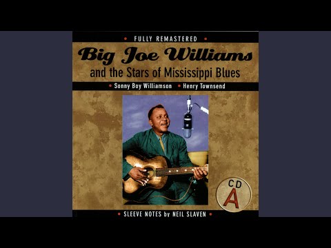 You Got To Roll (Levee Camp Song) - David 'Honeyboy' Edwards