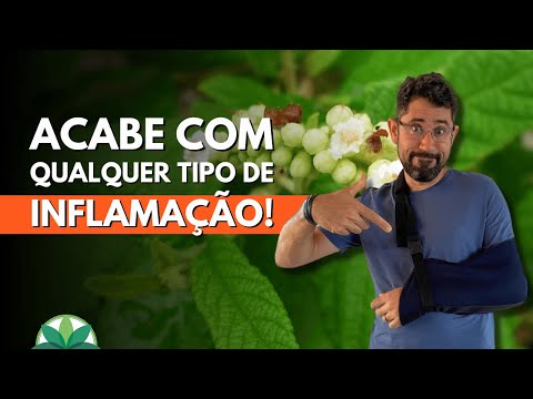Essa é a planta anti-inflamatória Nº 1!