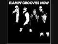 Flamin' Groovies- Paint it black