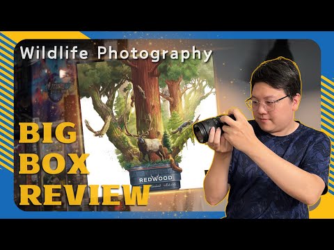 Redwood | Using FPS Game Mechanics for Outdoor Photography? #boardgames #brettspiele #紅杉林