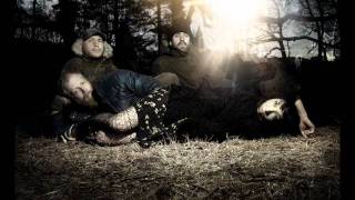 Little Dragon (Fortune)