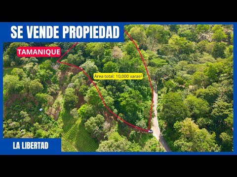 SE VENDE TERRENO DE UNA MANZANA EN TAMANIQUE LA LIBERTAD | 💰 Precio de venta: $78,000