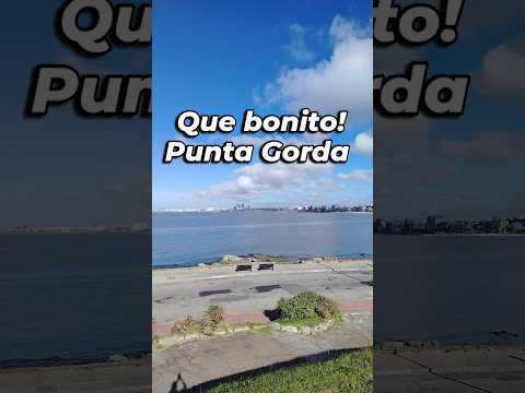 La mejor mañana con una vista imponente desde Punta Gorda, Montevideo Uruguay