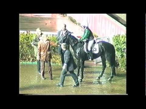 Trabreiten_Holsten Edel-Rennen_Meta Santana_Antje Richter