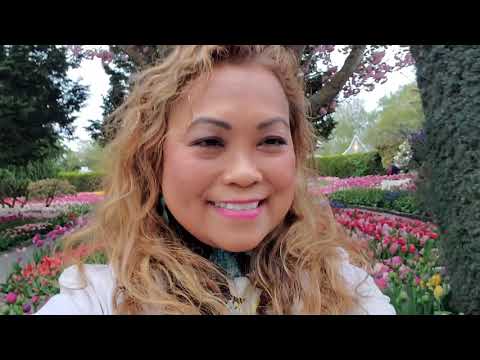First time tour at Roozengaarde Tulip Fields in Skagit Valley!