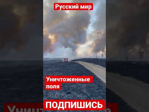 Картина войны: выжженные поля на Юге Украины.