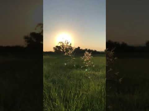 Beautiful Morning                           #Morning_Vibes #HASHTAGS #1_ON_TRENDING #POSITIVE_VIBES