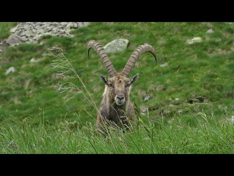 Alpi Orobie (Bergamasker Alpen) - Etappe 05