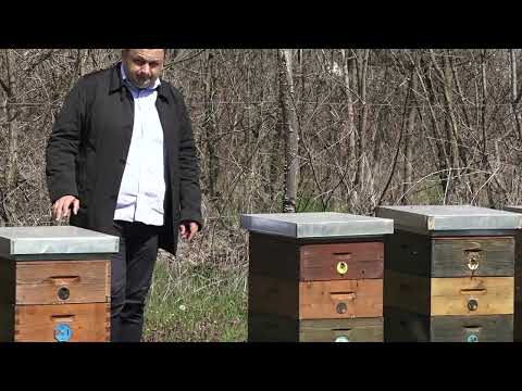 Agro karavan ep.172 - Aleksinac - 18.04.2021.