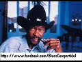 Clarence "Gatemouth" Brown & Gate's Express - Chicago Blues Festival. 1992