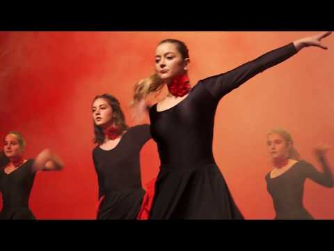 Schadzowanka 2017 *** 13 rejowanska skupina Serbskeho gymnazija