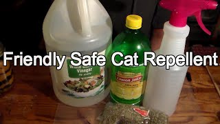 Friendly Way to Repel Cats
