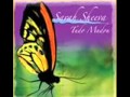 11 Senhor Do Universo Sarah Seeva CD Tudo Mudou