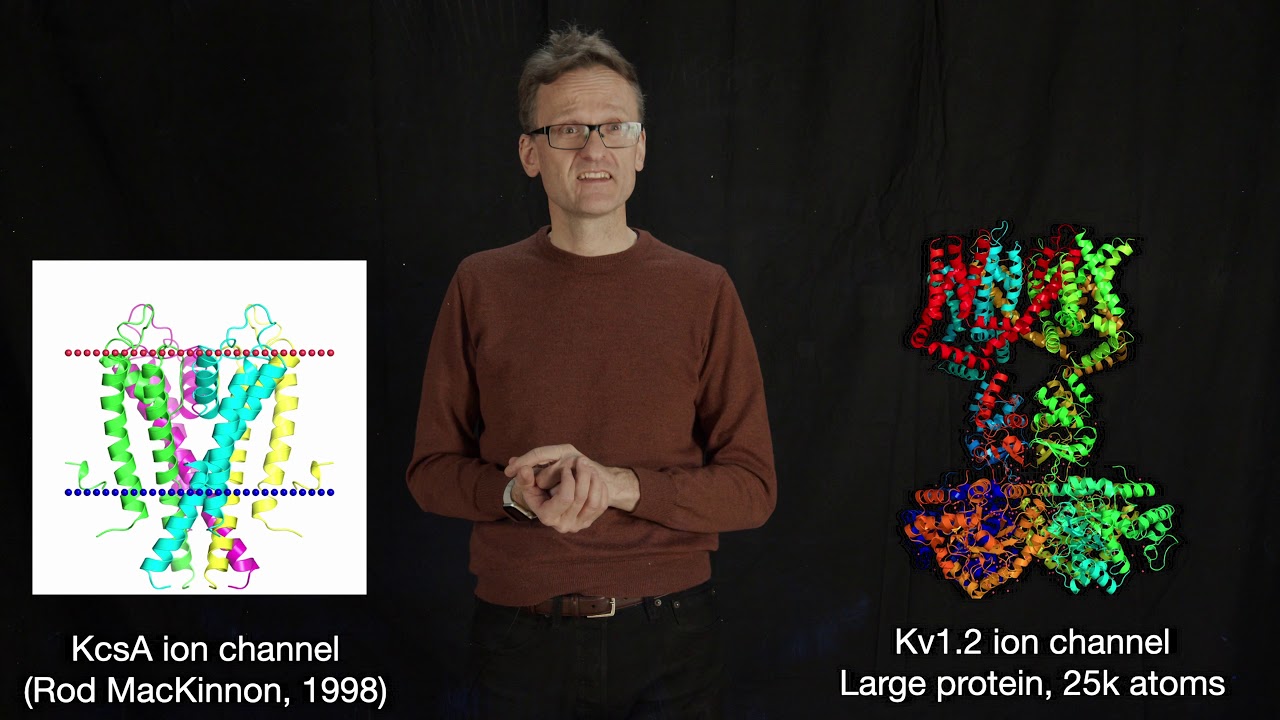 Lecture 01, concept 17: Structure of proteins