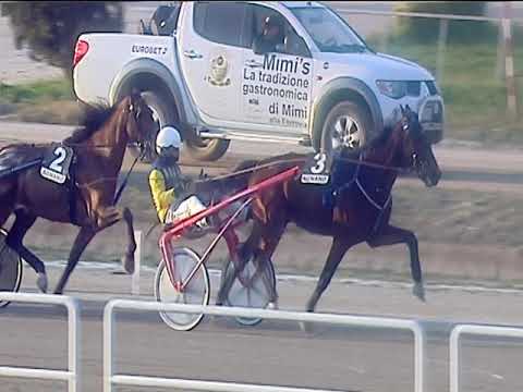 Trotto 03/03/2019 - 5ª corsa