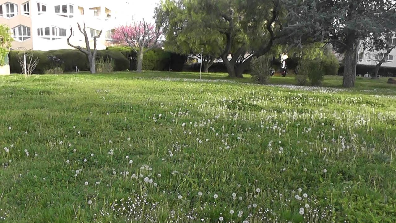 RC dron Sky King, žlutá