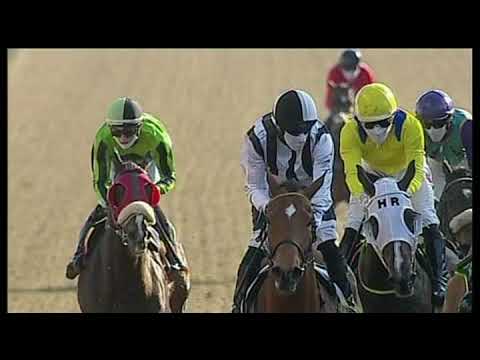 20200930 Hollywoodbets Greyville express clip Race 7 won by STOPALLTHECLOCKS
