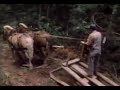 Classic Sesame Street Two Horses Ted And Tom 1980