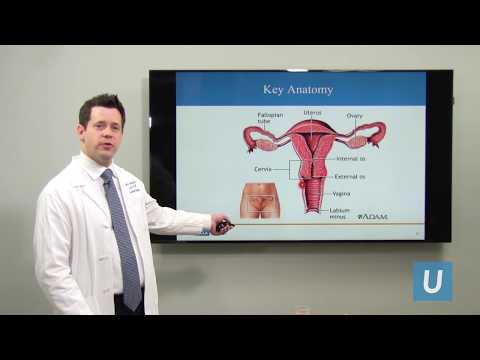 How do you get hpv virus in cervix