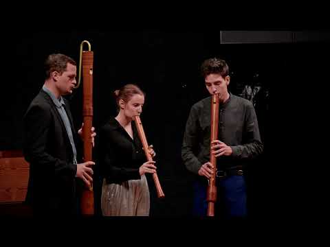 Giovanni Bassano - Fantasia No.1 | ensemble feuervogel