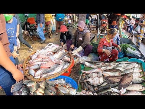 Amazing Local Walking Tour, Fresh Fish, Vegetables & Meat @Chhbar Ampov Market in Phnom Penh