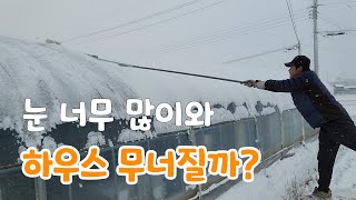 폭설에 하우스 무너질것 같아요 ~