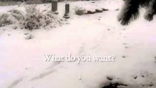 Martin Avdeich: A Christmas Tale by Robert Downard