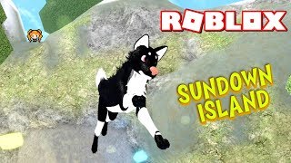 Animal Roleplay Games Roblox Th Clip - 