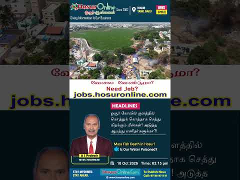 Mass Fish Kill in Hosur Temple Pond Sparks Health Fears; Chemical Contamination Suspected