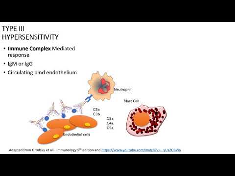 Immune response: Type 3 Hypersensitivity response