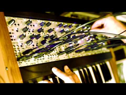 WMD / SSF Monolith "Pingz N Thingz"