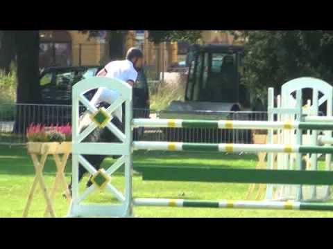 Sportpferde Matthias Keil - Charisma B