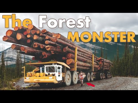 The MONSTER That Never Left the Forest ▶ The History of the Mark V Truck