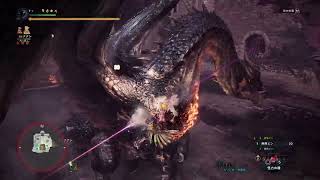 ミラボレアス 弓 ソロ 9'59"10