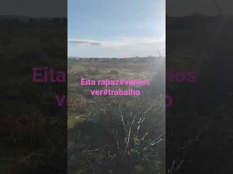 vamos ver #paraíba #fazenda #caminhoparaumavidamelhor #igaracy #