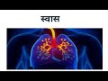 Shwasa roga || Respiratory disease || Respiratory distress  ||