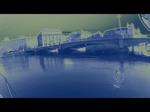 Fly fishing in downtown Stockholm – The ultimate tourism video guide to the royal capital of Sweden