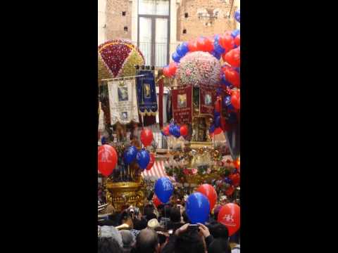 Cereo macellai da salice parte1